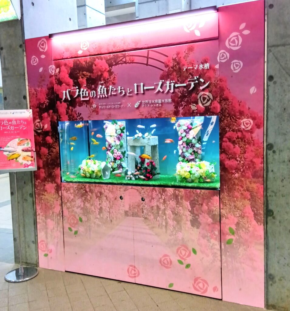 アクアトト岐阜のテーマ水槽
